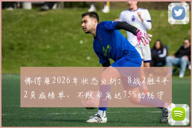 佛得角2026年状态分析:8战2胜4平2负成绩单,不败率高达75%的防守密码